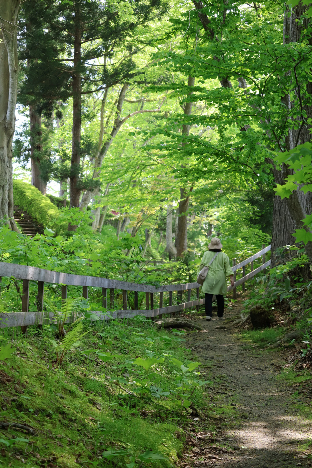 七戸町　七戸城跡